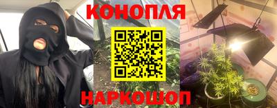 прущие грибы Ирбит