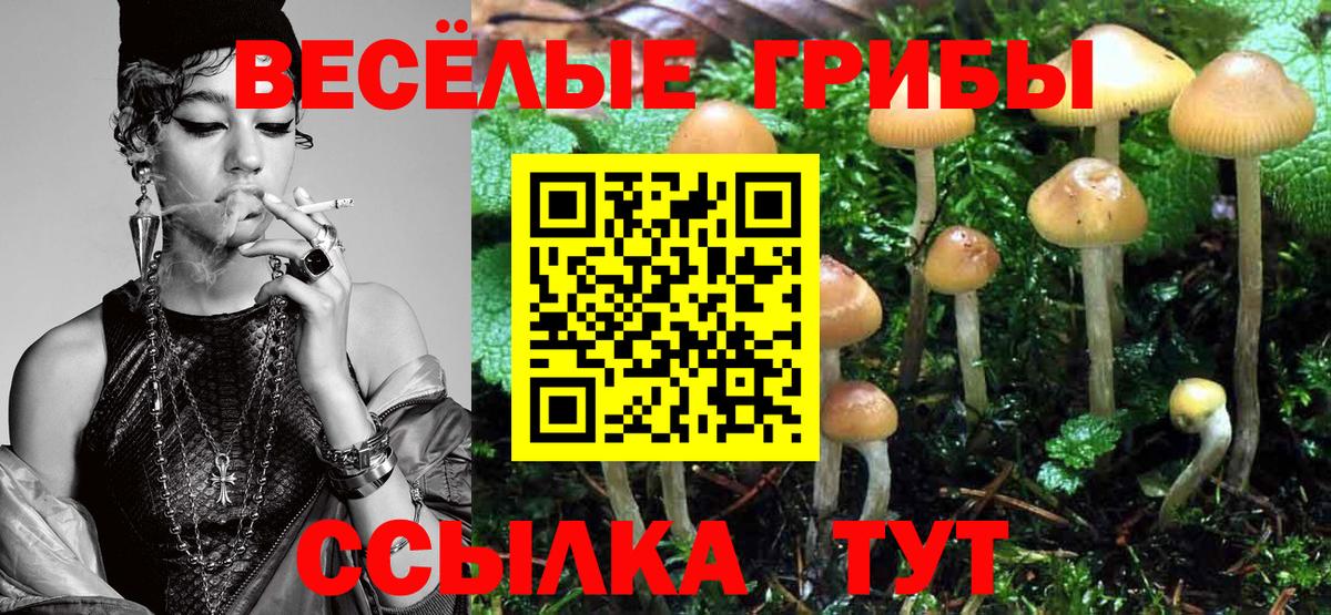 Гуково  Галлюциногенные грибы Magic Shrooms  Галлюциногенные грибы GOLDEN TEACHER  цены   Вход с VPN 
